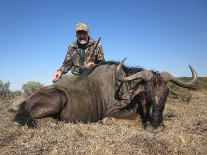 2019-08-23 wildebeest.JPG 2019-08-23 wildebeest.JPG