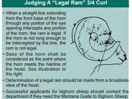 431C7144-34B1-4EA8-A49D-B6009BCA1292.jpeg 431C7144-34B1-4EA8-A49D-B6009BCA1292.jpeg