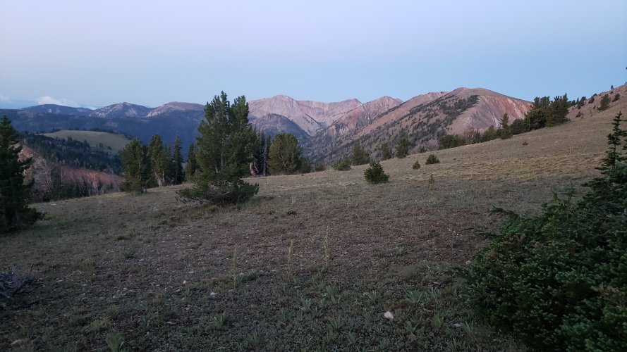 20210809_060614.jpg