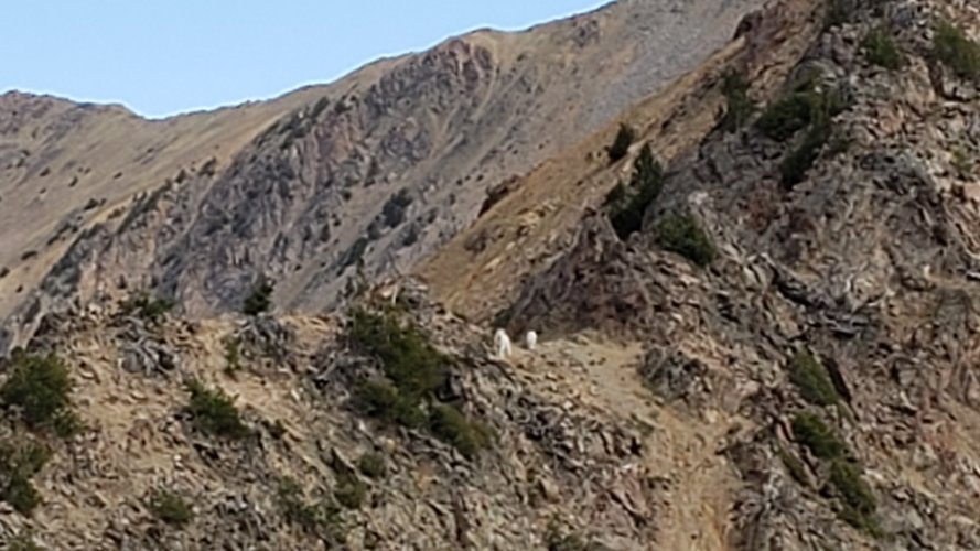 20210915_114424.jpg 20210915_114424.jpg