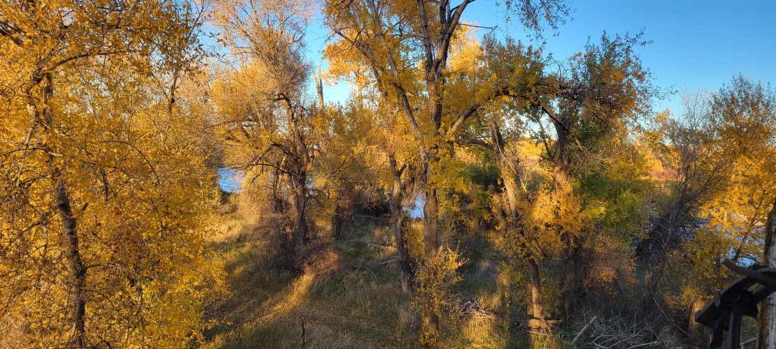 20211020_175459.jpg 20211020_175459.jpg