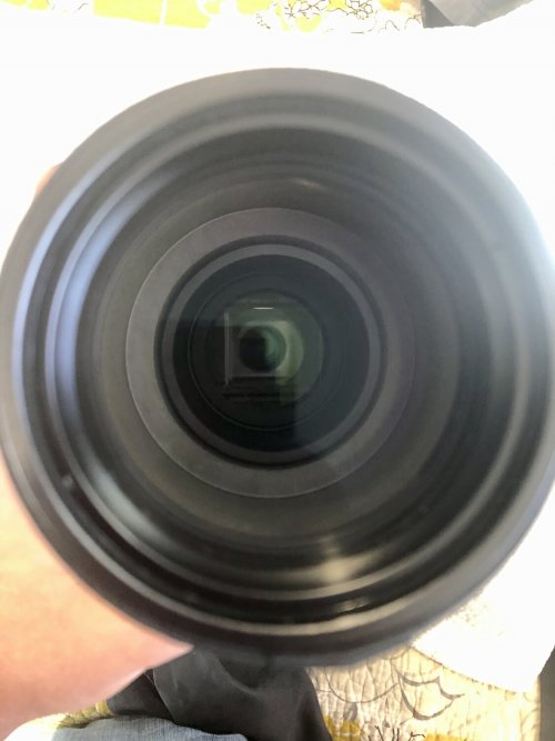 8.jpeg 8.jpeg