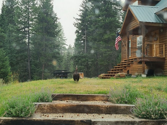 Turkey.jpg Turkey.jpg