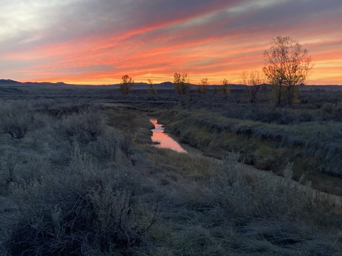 E3AE0E2D-73FD-43D3-A409-BDAFAFE7C318.jpeg E3AE0E2D-73FD-43D3-A409-BDAFAFE7C318.jpeg