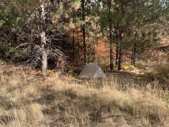 5BD4D0C4-F501-4CE4-8EC4-70CEDDCDFCB5.jpeg 5BD4D0C4-F501-4CE4-8EC4-70CEDDCDFCB5.jpeg