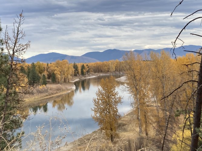 3975D7E8-0E26-40F7-8F6D-A053E0E1F6ED.jpeg 3975D7E8-0E26-40F7-8F6D-A053E0E1F6ED.jpeg