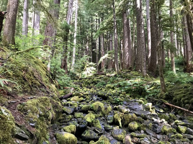 1635032681404.jpeg 1635032681404.jpeg