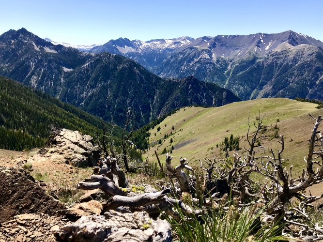 1635032747936.jpeg 1635032747936.jpeg