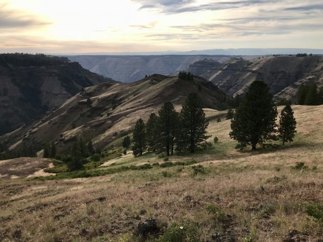 1635033722821.jpeg 1635033722821.jpeg