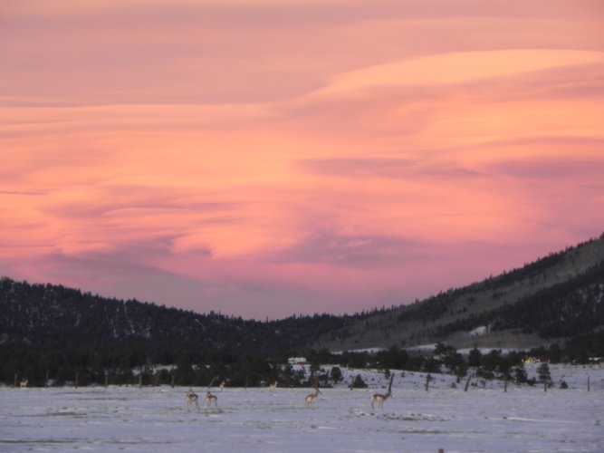 antelope sunset.JPG antelope sunset.JPG