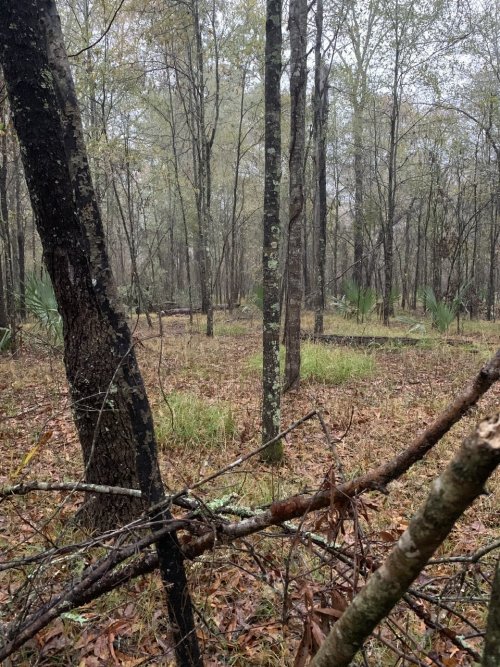 07E48B4A-7751-4B90-925D-F1A605A7B24A.jpeg 07E48B4A-7751-4B90-925D-F1A605A7B24A.jpeg