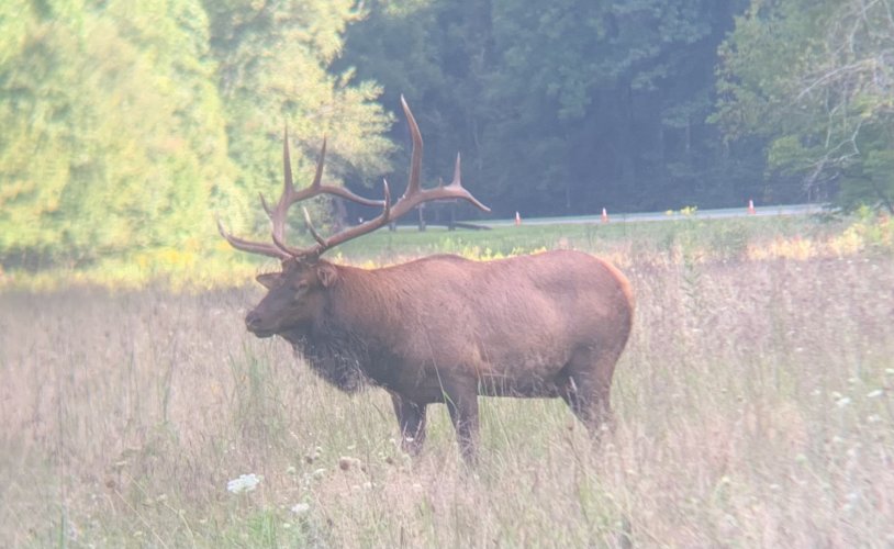 D19D19FC-80CC-4792-B7E0-5ACD7DF7E33B.jpeg D19D19FC-80CC-4792-B7E0-5ACD7DF7E33B.jpeg