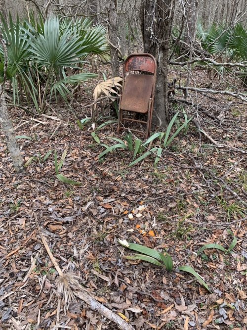 241B0398-ADED-47E5-AF24-9A800ECC4CC5.jpeg 241B0398-ADED-47E5-AF24-9A800ECC4CC5.jpeg