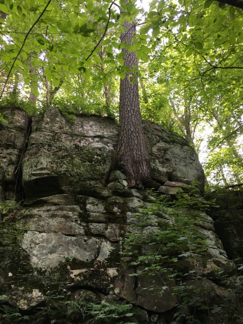 D0BB80C1-8551-408D-B4E4-FD4BBF171A69.jpeg D0BB80C1-8551-408D-B4E4-FD4BBF171A69.jpeg