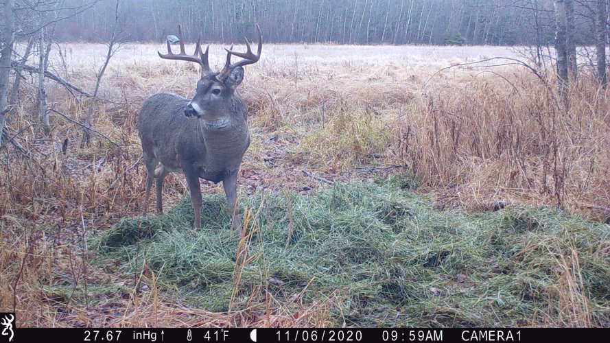 10FA6C52-7834-4F75-AB3B-F2A89067469F.jpeg 10FA6C52-7834-4F75-AB3B-F2A89067469F.jpeg