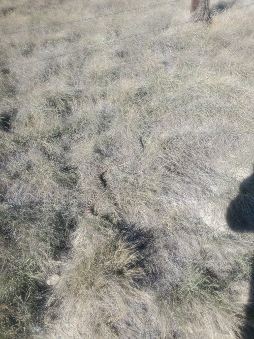 20211015_134050.jpg 20211015_134050.jpg