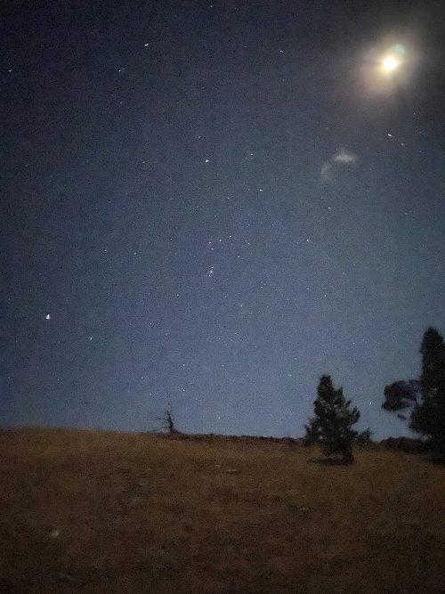 D8D7BA15-630E-41BE-9749-1B019EB16DF9.jpeg D8D7BA15-630E-41BE-9749-1B019EB16DF9.jpeg