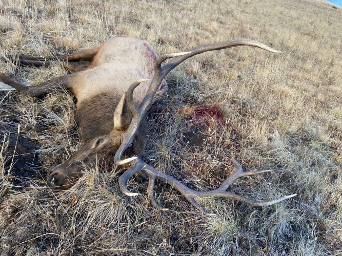 0A0FB7F5-6C7D-4A0E-9F82-7ABE07615CFC.jpeg 0A0FB7F5-6C7D-4A0E-9F82-7ABE07615CFC.jpeg