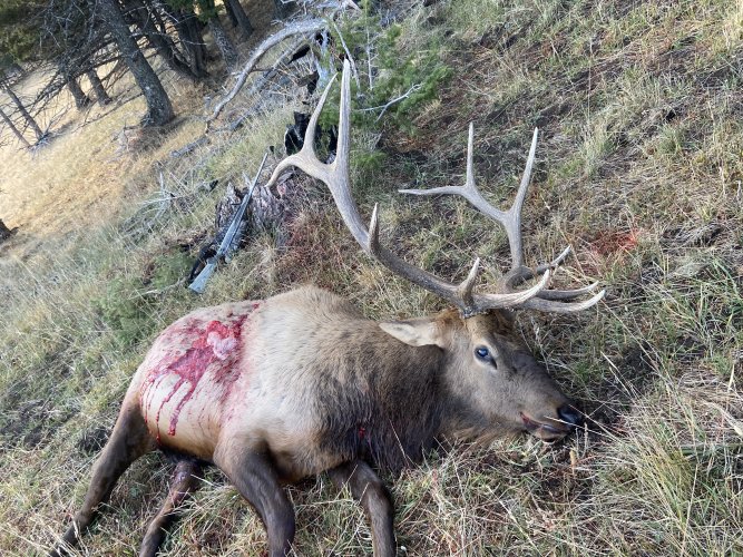 3A0E2086-065D-4A46-8C9F-5971B329572C.jpeg 3A0E2086-065D-4A46-8C9F-5971B329572C.jpeg