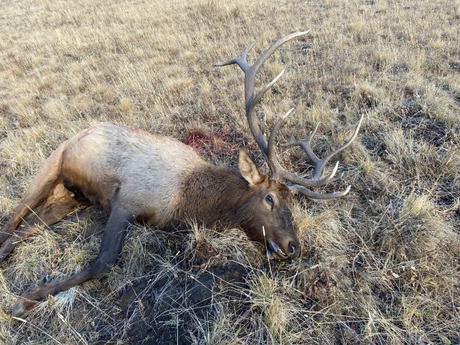 D97F01FF-4C49-44EC-A551-896A21DAB9CA.jpeg D97F01FF-4C49-44EC-A551-896A21DAB9CA.jpeg