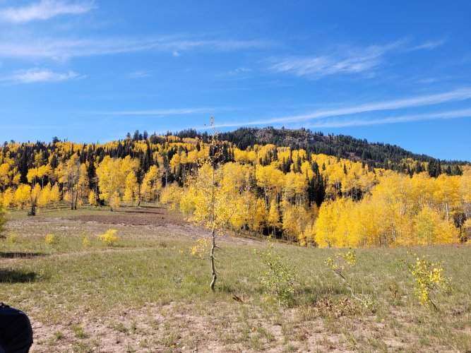 20210929_124535.jpg 20210929_124535.jpg