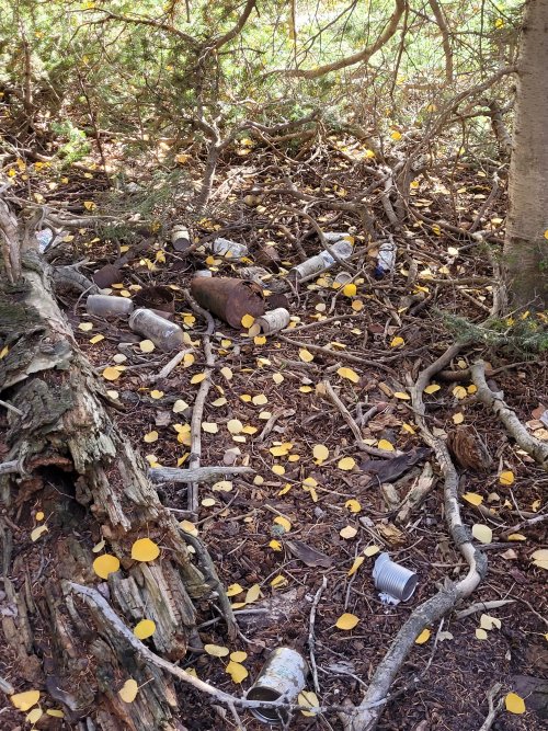 20210929_153014.jpg 20210929_153014.jpg