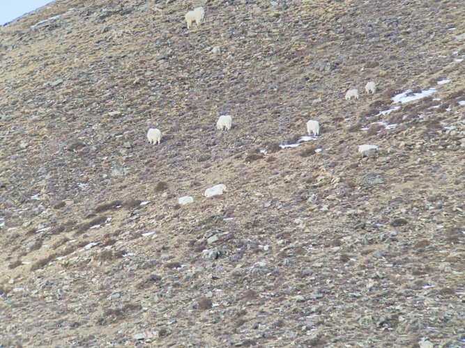 2DEFA376-AC04-4C8A-AD10-8BFC3B134B95.jpeg 2DEFA376-AC04-4C8A-AD10-8BFC3B134B95.jpeg