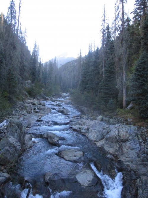 FDB6ABE1-3F37-419E-B906-D5C30DEB0690.jpeg FDB6ABE1-3F37-419E-B906-D5C30DEB0690.jpeg