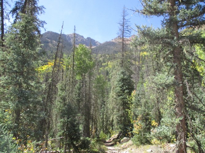 45299064-D674-4987-BC6D-0CE295D0E72D.jpeg 45299064-D674-4987-BC6D-0CE295D0E72D.jpeg