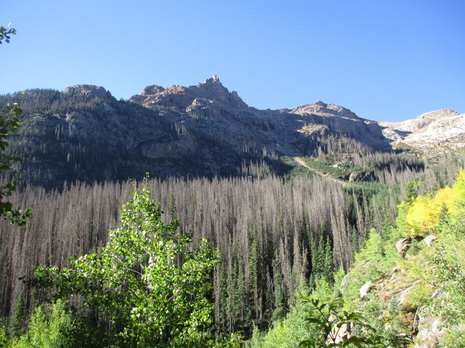 A11FA642-ED58-4298-9144-D9BA99C1F906.jpeg A11FA642-ED58-4298-9144-D9BA99C1F906.jpeg