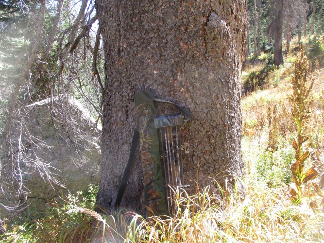 7DC2166F-4D0B-4C94-AD67-A260D2396A2C.jpeg 7DC2166F-4D0B-4C94-AD67-A260D2396A2C.jpeg