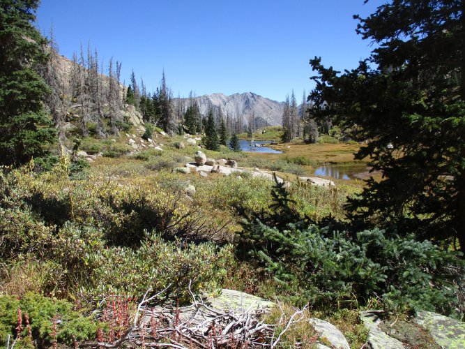 9C5CED3E-6472-4865-ABBF-BDDF3B37BE55.jpeg 9C5CED3E-6472-4865-ABBF-BDDF3B37BE55.jpeg