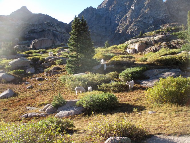 A2CD8507-5074-4239-9613-A1A6F1F66ED1.jpeg A2CD8507-5074-4239-9613-A1A6F1F66ED1.jpeg