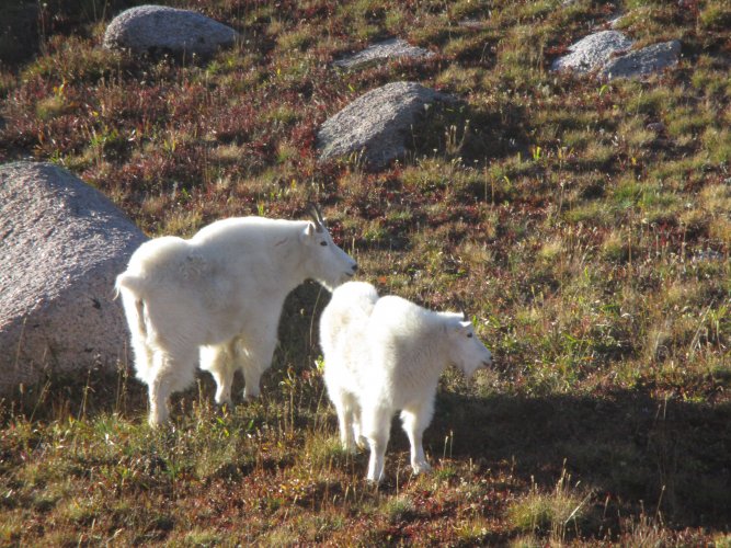 B710C609-578F-44FB-958E-3C0B3B7732B9.jpeg B710C609-578F-44FB-958E-3C0B3B7732B9.jpeg