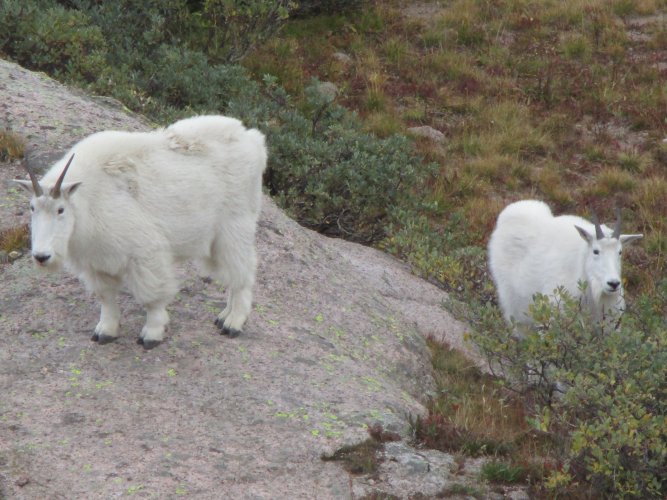 9B581E4B-C39B-4FD1-8FFD-8DD6D10D6515.jpeg 9B581E4B-C39B-4FD1-8FFD-8DD6D10D6515.jpeg