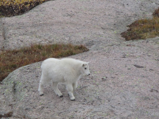 6A6B63B4-92FB-4E1E-8736-58E905B8D4C2.jpeg 6A6B63B4-92FB-4E1E-8736-58E905B8D4C2.jpeg