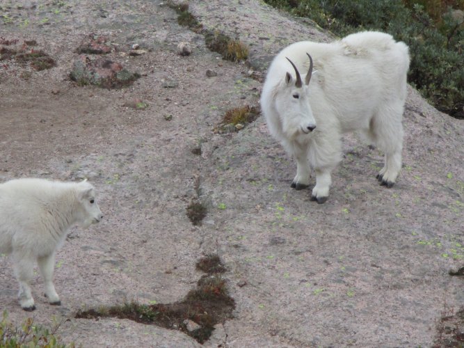 875A6983-1994-494B-B73C-C577E77B42EC.jpeg 875A6983-1994-494B-B73C-C577E77B42EC.jpeg