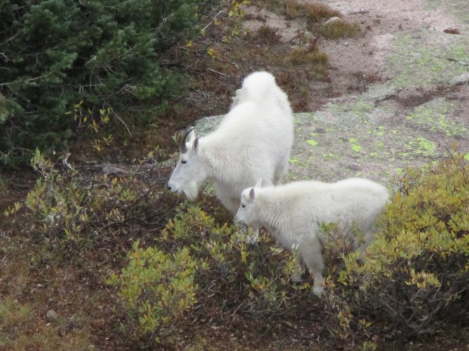 82A4A4ED-E982-4D67-A217-7744C6C0C91E.jpeg 82A4A4ED-E982-4D67-A217-7744C6C0C91E.jpeg