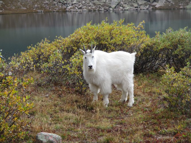 94673E1C-2E09-42BD-A6CA-AB9F6FE2A0E4.jpeg 94673E1C-2E09-42BD-A6CA-AB9F6FE2A0E4.jpeg