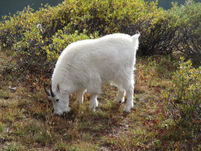 2CC14C29-A52A-4A6B-865E-777D934C9555.jpeg 2CC14C29-A52A-4A6B-865E-777D934C9555.jpeg