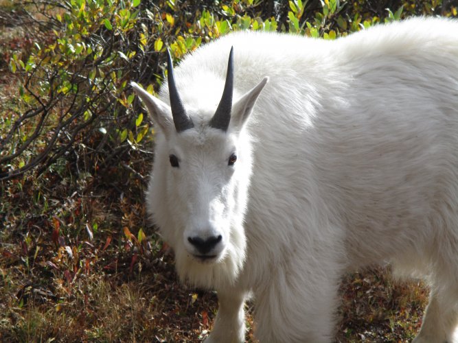 B0ED69A7-3C7B-4A07-8ACE-7D24AB5F4B7C.jpeg B0ED69A7-3C7B-4A07-8ACE-7D24AB5F4B7C.jpeg