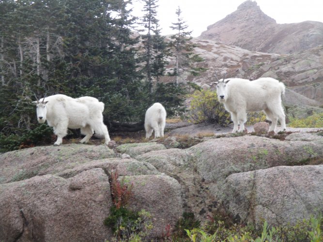 D6552B7F-49FA-486D-B8CF-E97A3B2EA540.jpeg D6552B7F-49FA-486D-B8CF-E97A3B2EA540.jpeg