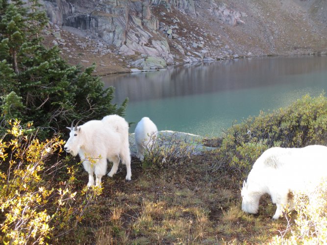 E61FB75D-EA0C-46A7-BB71-D2ED9F8BA486.jpeg E61FB75D-EA0C-46A7-BB71-D2ED9F8BA486.jpeg