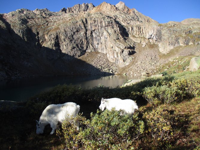 68B1084A-0CED-4974-80CD-4F19B217E280.jpeg 68B1084A-0CED-4974-80CD-4F19B217E280.jpeg