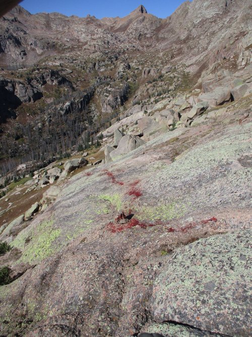 77B3AA2F-5C4A-4E32-A9D9-219B637669A6.jpeg 77B3AA2F-5C4A-4E32-A9D9-219B637669A6.jpeg