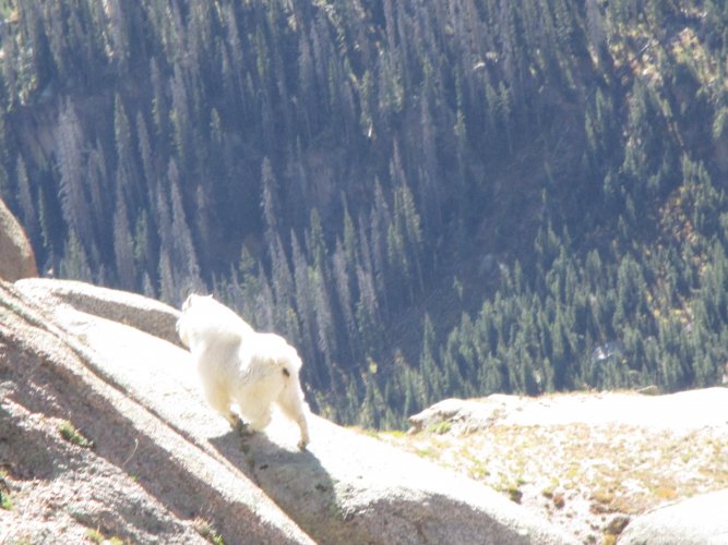 F1588B93-65C3-43C8-9E93-682B03D3C522.jpeg F1588B93-65C3-43C8-9E93-682B03D3C522.jpeg