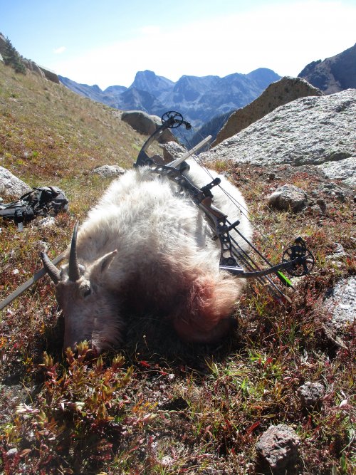 36D32F6D-C411-4C55-AB3A-AC483ECF480B.jpeg 36D32F6D-C411-4C55-AB3A-AC483ECF480B.jpeg