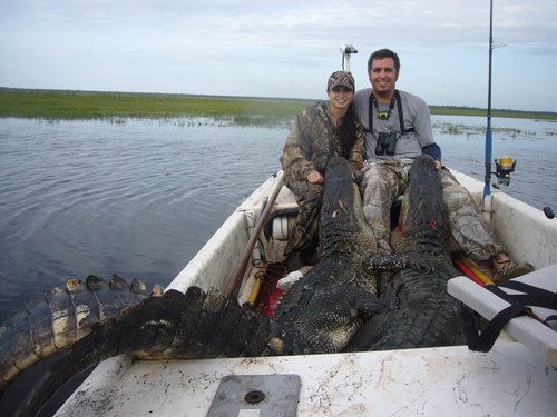 resizedgator.jpg