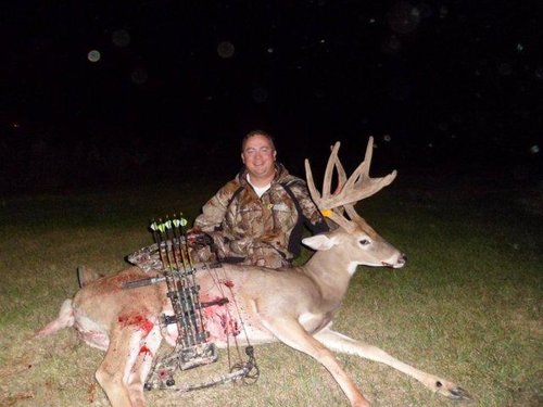 buck 3.jpg buck 3.jpg
