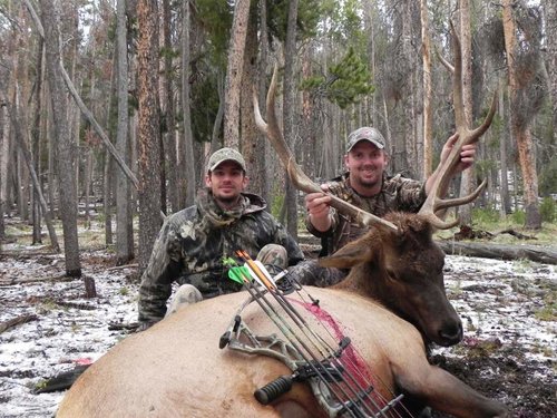 archery-elk-sep.-01-2012-02.jpg